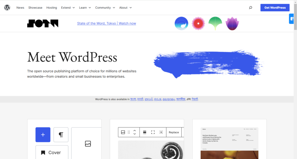 Popular Website Development Platforms